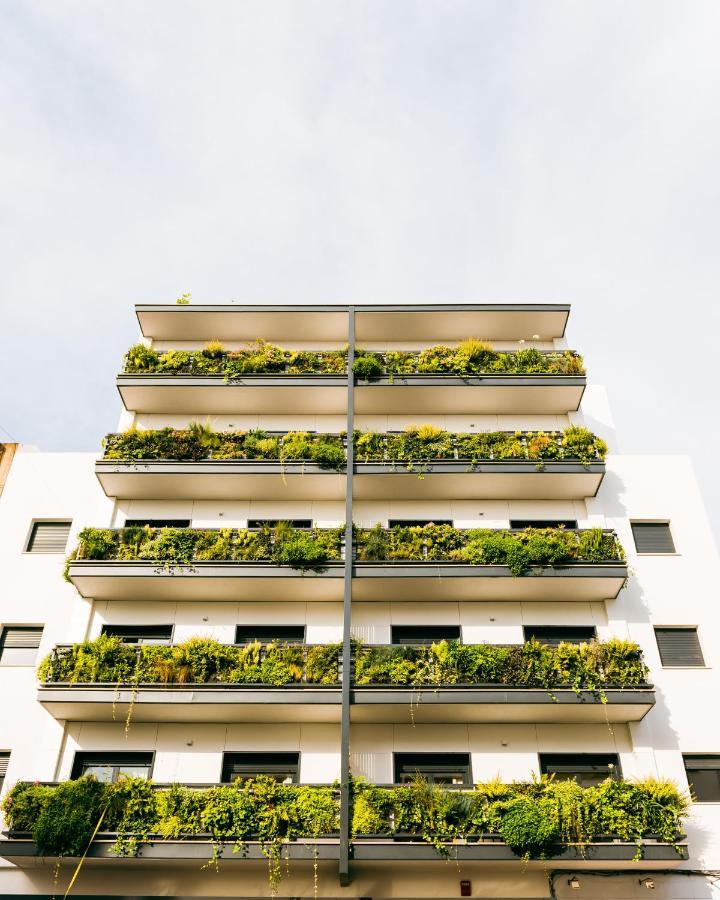 Treetriana * Sevilla